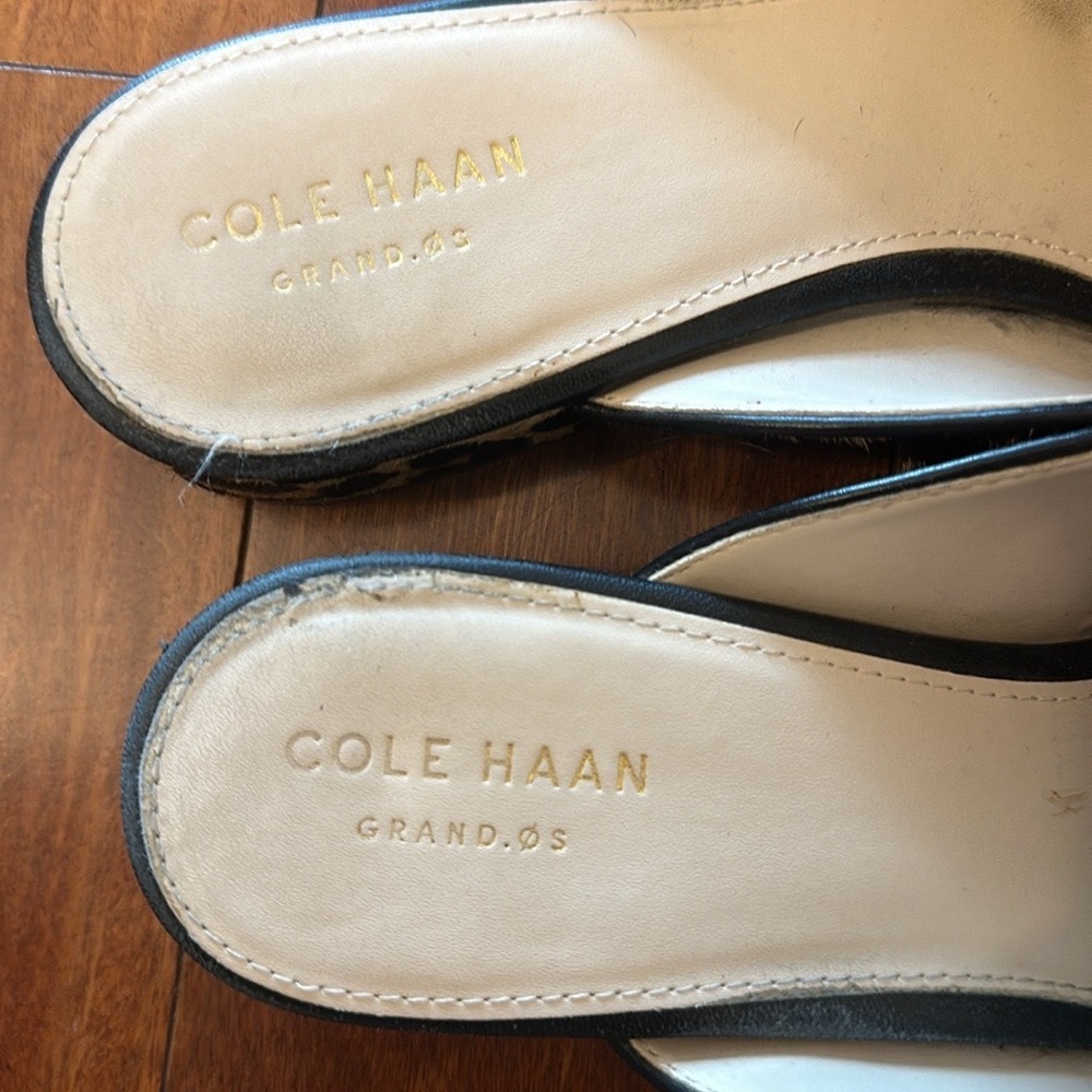Beautiful Leopard Cole Haan mules.